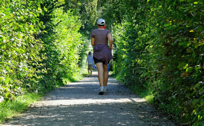 Eine Gruppe geht im Wald laufen